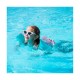 Jeux Soldes Piscine AirMyFun 2 x Brassards Gonflables De Natation Enfants 3-6 Ans, Flotteurs piscine & plage - Pack Duo Homard Glace